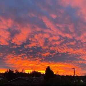 Meet your Posher, Ellie!